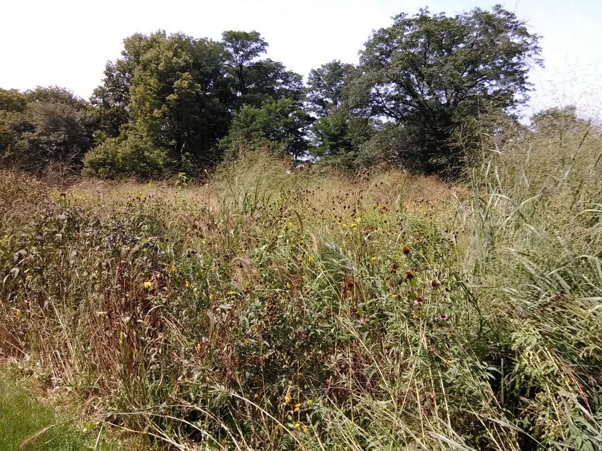 This image has an empty alt attribute; its file name is 0ed2d-1vcspp9zdabliqn9sdevpwq.jpeg