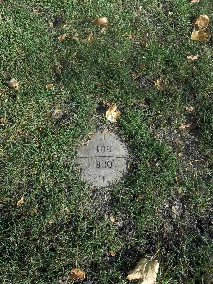 This image has an empty alt attribute; its file name is 45826-1ukzoqmj-gqjduf28ege5yw.jpeg