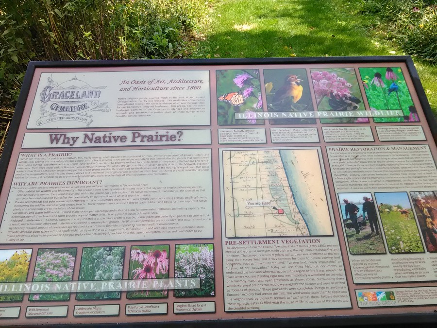 This image has an empty alt attribute; its file name is 50503-1mzc_iz_bb77s-isls5zria.jpeg