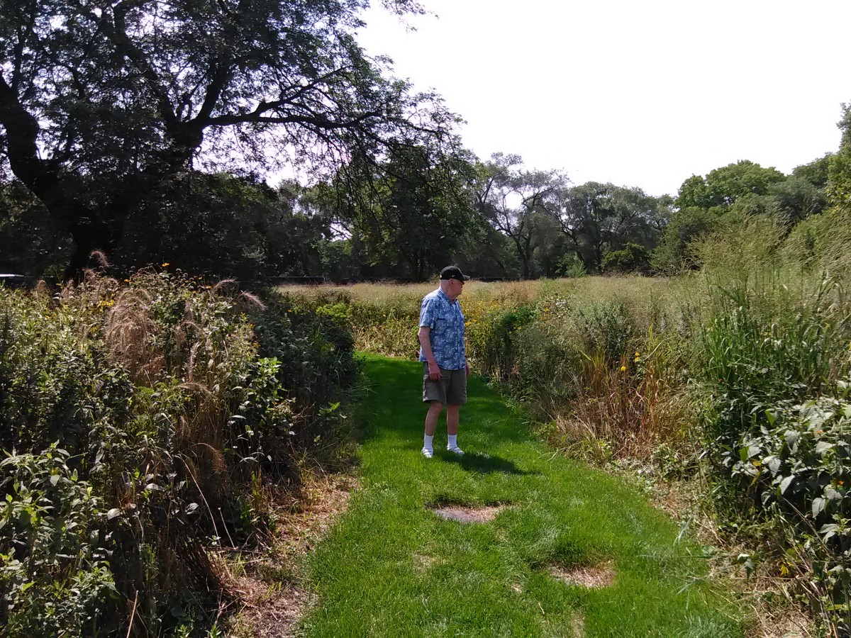 This image has an empty alt attribute; its file name is e83ea-1brbaqnzz8p6sg7_ileo2sa.jpeg