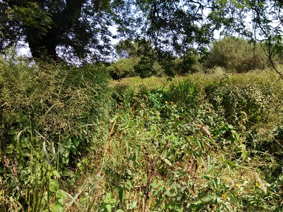 This image has an empty alt attribute; its file name is f93b0-12h0qhoxiemrelfegddzg2a.jpeg